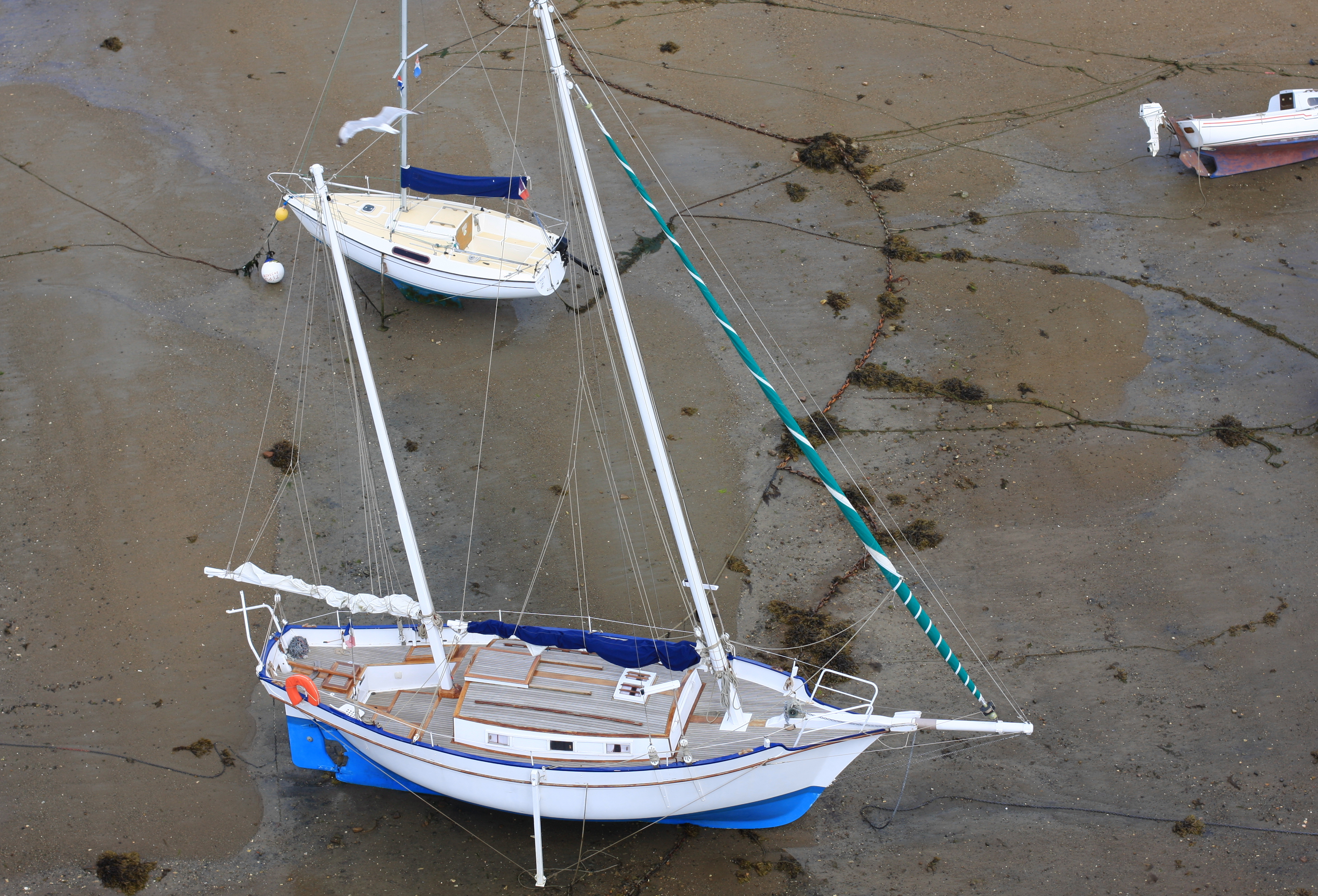 beached