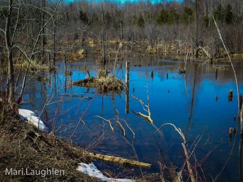 Spring Water